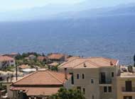 $BH~$7$$3$$,4c2<$K9-$,$k(B