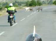 $B;3MS$N?F;R$,!&!&!&(B