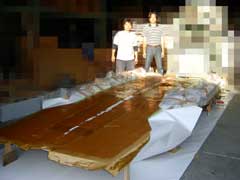 $B%]%j%^!<$N=ENO$G6Q0l$K05NO$r$+$1$k(B